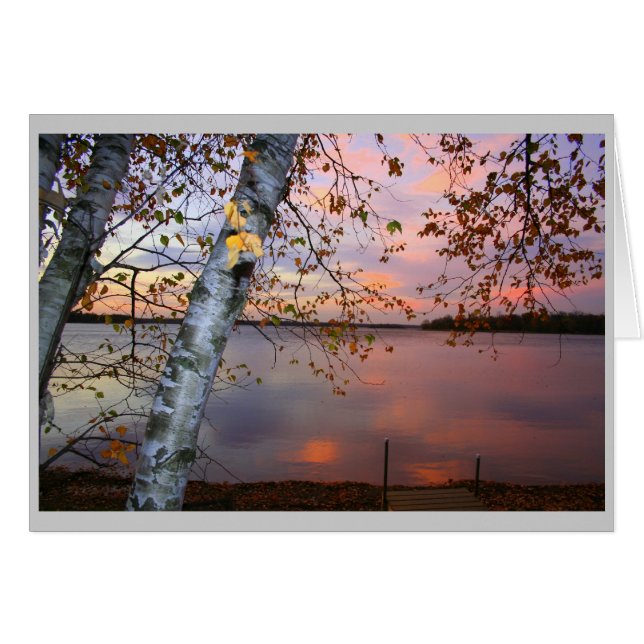 Cartão vista de pássaro (Frente Horizontal)