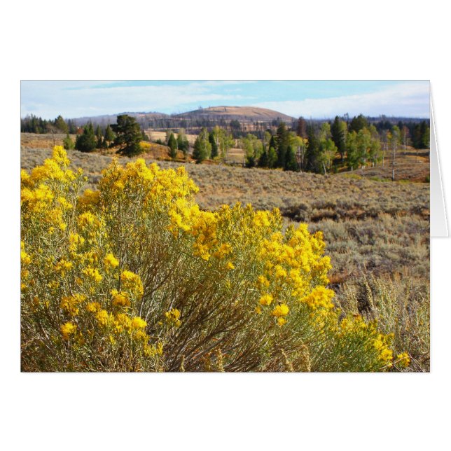 Cartão Vista de Yellowstone (Frente Horizontal)