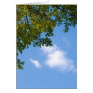 Cartão vista do céu com topo de árvore