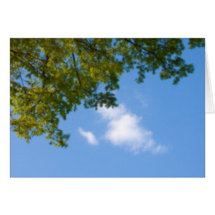 Cartão vista do céu com topo de árvore