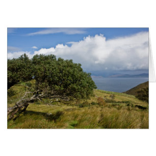 Cartão Vista do monte de Drung