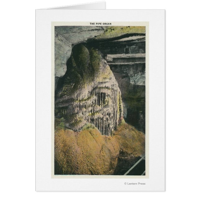 Cartão Vista do Órgão Pipe (Frente)