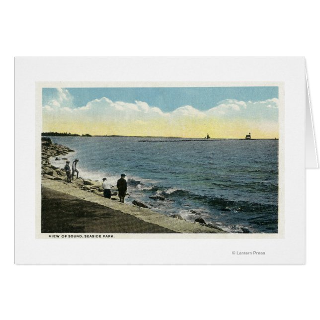 Cartão Vista do Som no Parque da Terra (Frente Horizontal)