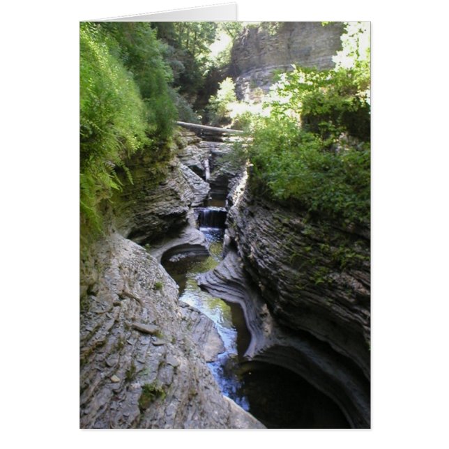 Cartão Vista do vale de Watkin (Frente)