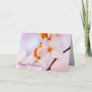 Cartão Vista Frontal Da Flor Sakura Na Época Da Primavera