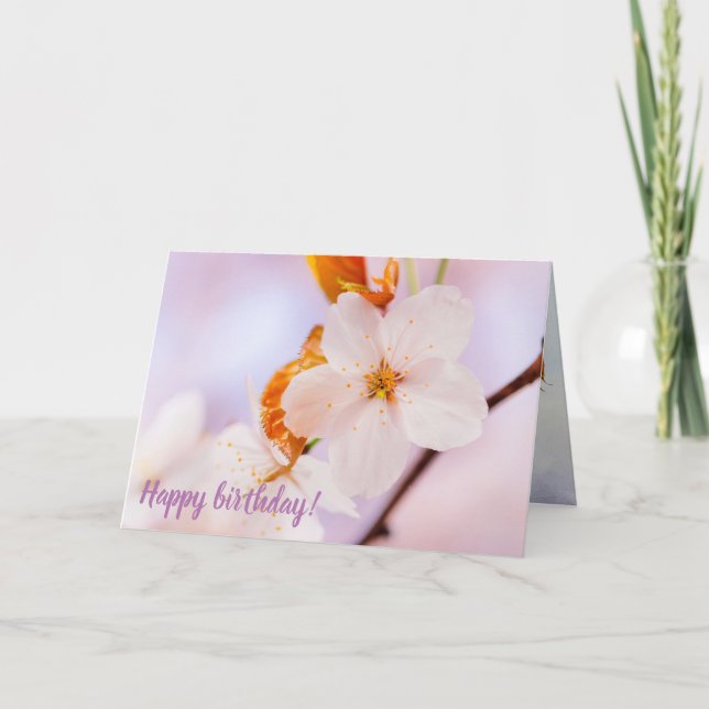 Cartão Vista Frontal Da Flor Sakura Na Época Da Primavera (Frente)