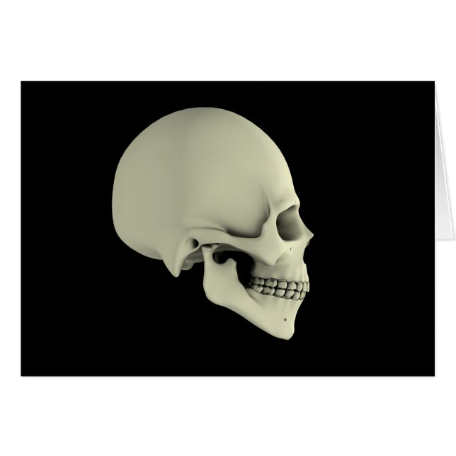 Cartão Vista Lateral Do Crânio Humano (Frente Horizontal)
