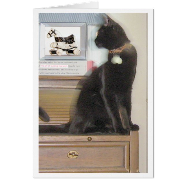 Cartão Vista lateralmente (Frente)