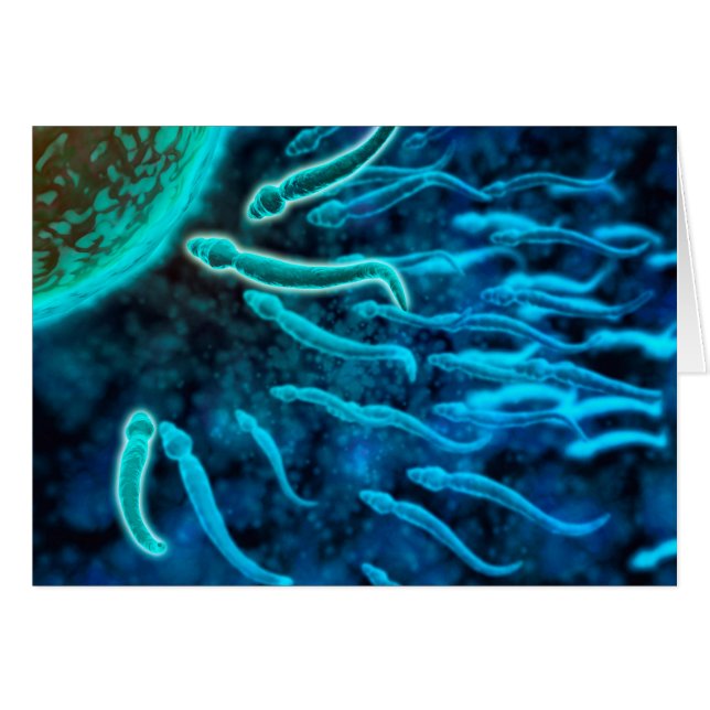 Cartão Vista Microscópica De Esperma Nadando Em Direção A (Frente Horizontal)