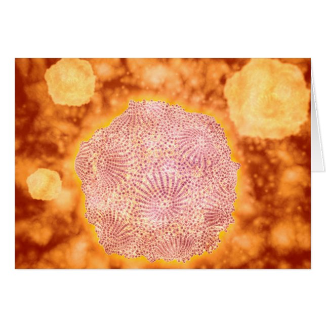 Cartão Vista Microscópica Do Parvovírus Canino 1 (Frente Horizontal)