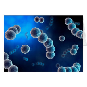 Cartão Vista Microscópica Do Streptococcus 2