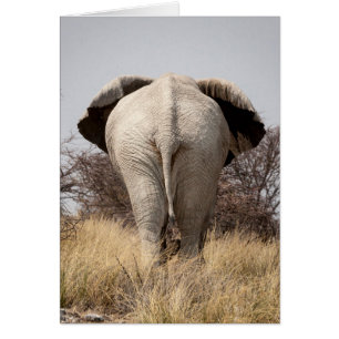 Cartão Vista traseira de elefante