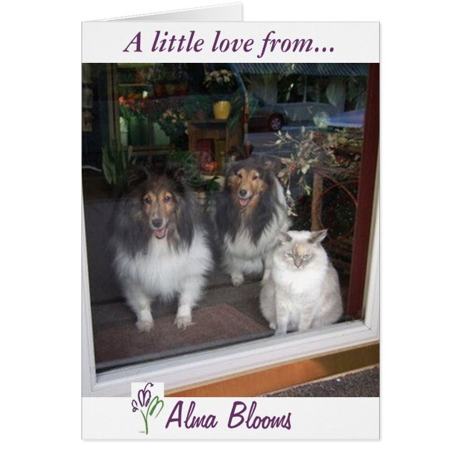 Cartão Visualização da janela (Frente)