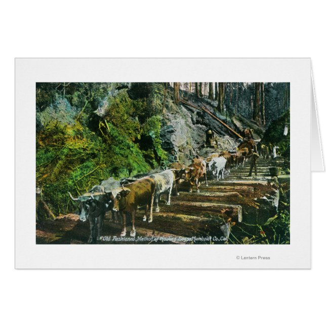 Cartão Visualização dos Logs de Hospedagem de Equipes Ox (Frente Horizontal)