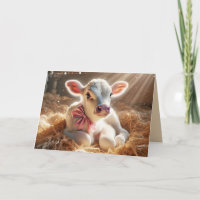 Vitelo Branco Em Barn Stall