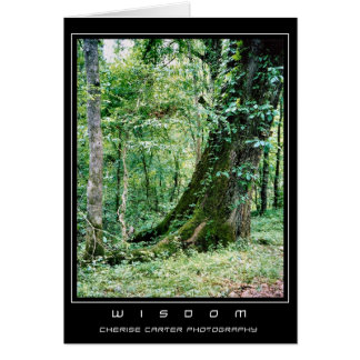 Cartão Viva e aprenda