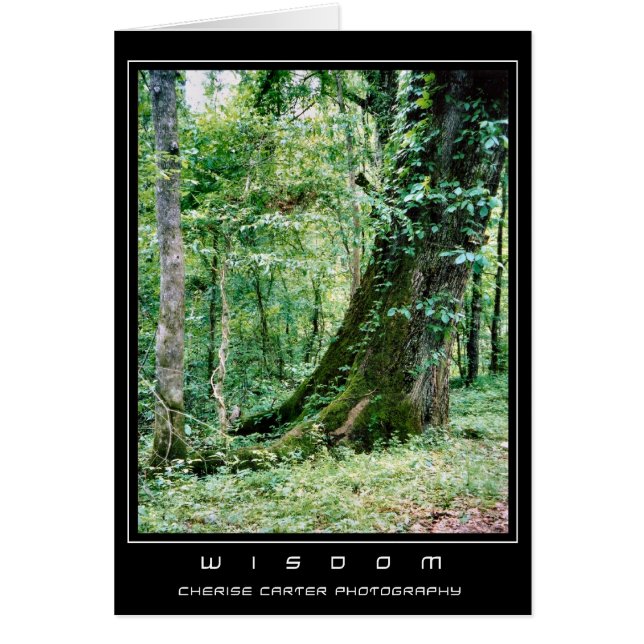 Cartão Viva e aprenda (Frente)