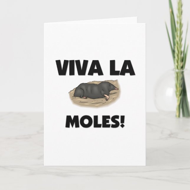 Cartão Viva La Moles (Frente)