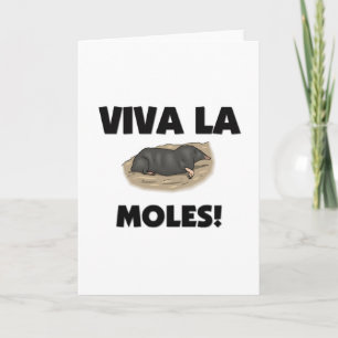 Cartão Viva La Moles