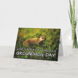 Cartão Viva todos os dias como se fosse o Dia da Marmota!