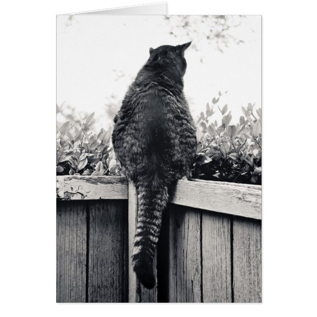 Cartão Vivendo em Gargoyle (Frente)