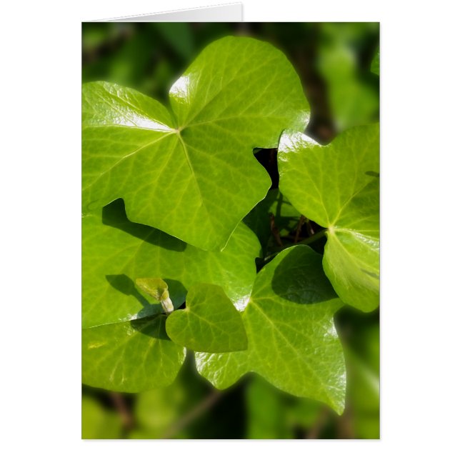 Cartão Viver ao sol (Frente)