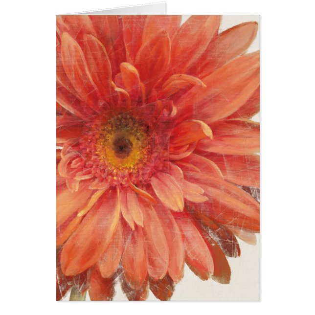 Cartão Vivid Daisy (Frente)