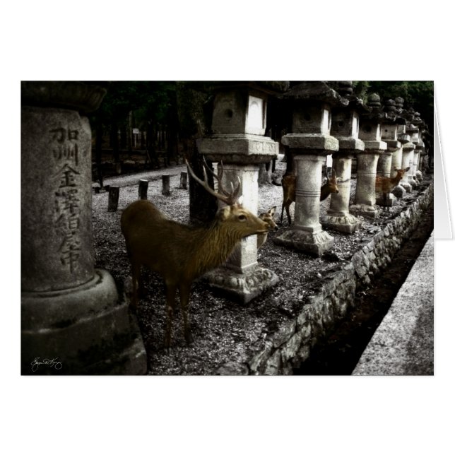 Cartão Vivo Sagrado de Nara Japão (Frente Horizontal)
