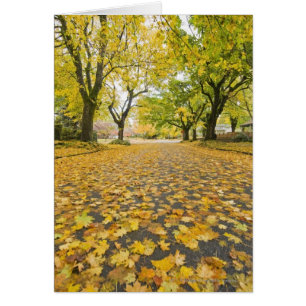 Cartão Vizinhança de Eastmoreland no outono