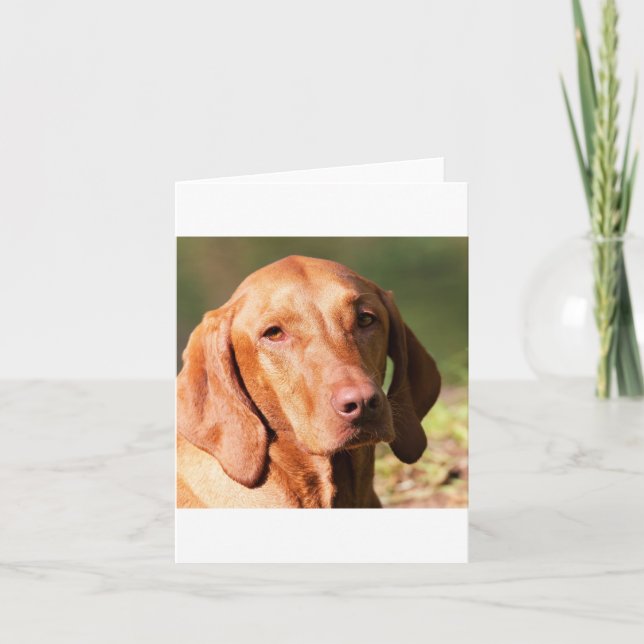 Cartão vizsla (Frente)