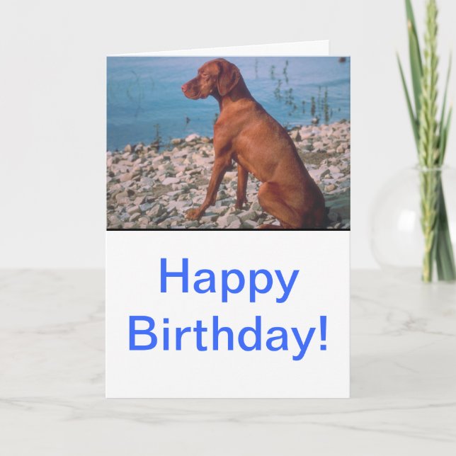 Cartão Vizsla (Frente)