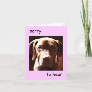Cartão Vizsla - desculpe por ouvir que você é pawly (rosa