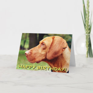 Cartão Vizsla dog birthday card
