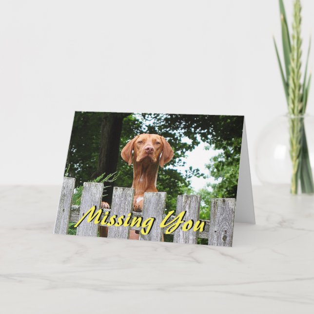 Cartão Vizsla dog "Missing You" card (Frente)