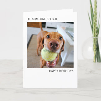 Cartão Vizsla Dog With Ball In Mouth Birthday Card