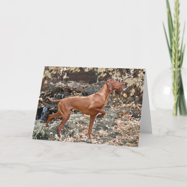 Cartão Vizsla Greeting Cards (Frente)