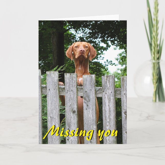Cartão Vizsla "Missing You" card (Frente)