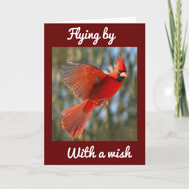 CARTÃO **VOANDO PARA DIZER ** ANIVERSÁRIO *MELHOR NUNCA* (Frente)