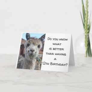 CARTÃO "VOCÊ AGORA É UM ANIVERSÁRIO DE 13 ADOLESCENTE* FE