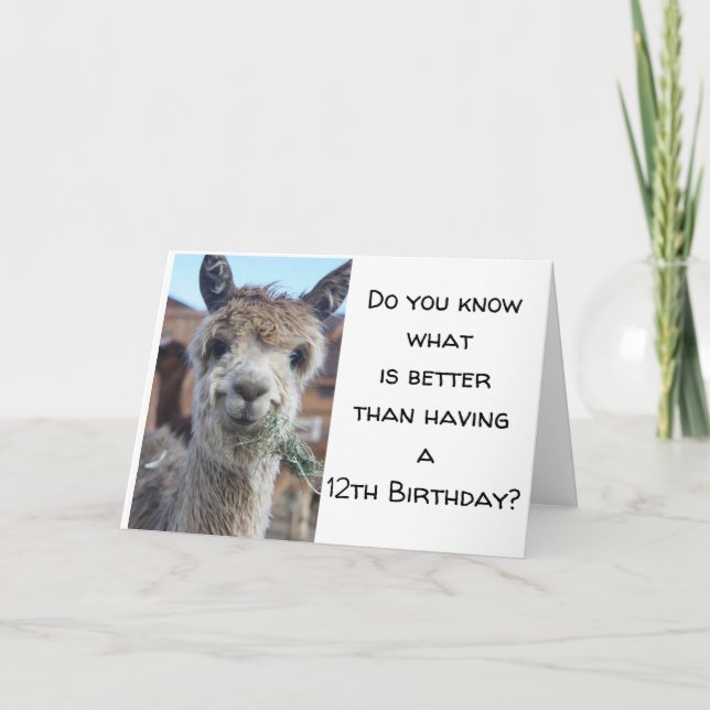 CARTÃO "VOCÊ AGORA É UM ANIVERSÁRIO DE 13 ADOLESCENTE* FE (Frente)