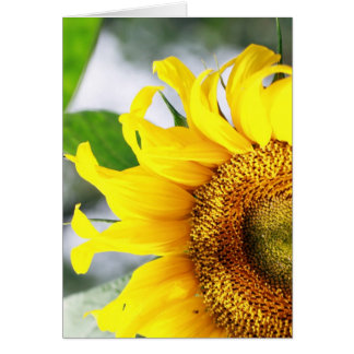 Cartão Você anima minha vida