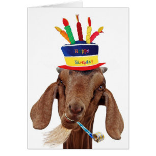 Cartão Você cabra de Ol