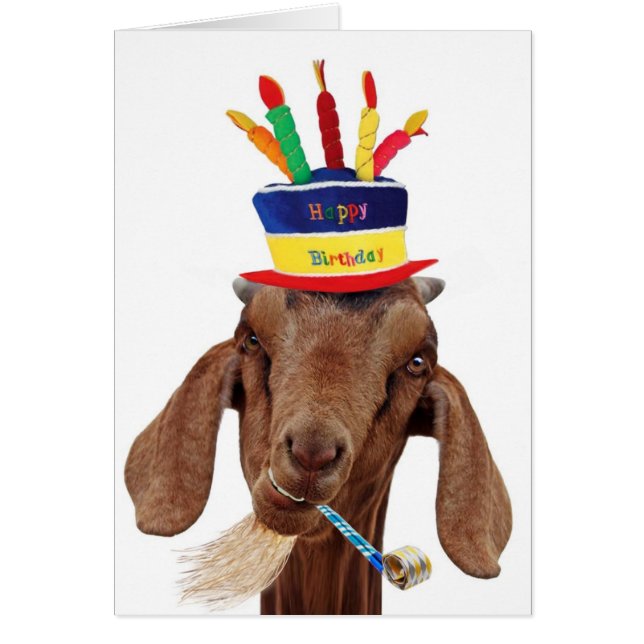 Cartão Você cabra de Ol (Frente)