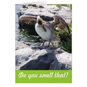 Cartão Você cheira aquele?