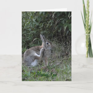 Cartão Você/Coelho ausente