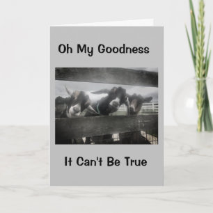 CARTÃO VOCÊ DEVE ESTAR "BRINCANDO" VOCÊ NÃO PODE SER "CAR