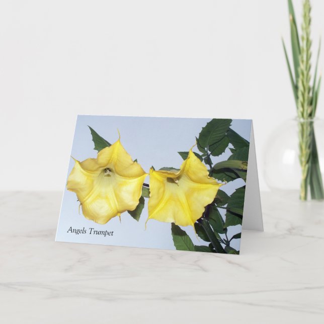 Cartão Você Deve Ser Uma Saudação De Palavra De Anjo (Frente)