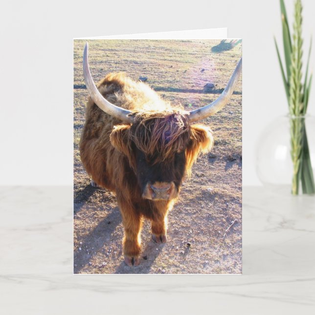 Cartão Você disse Dia do Cabelo Ruim? (Frente)