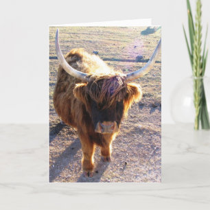 Cartão Você disse Dia do Cabelo Ruim?