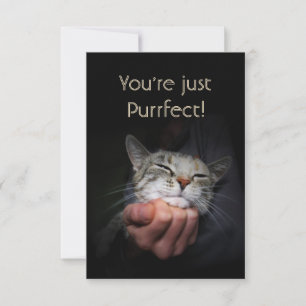 Cartão Você é apenas Purrfect
